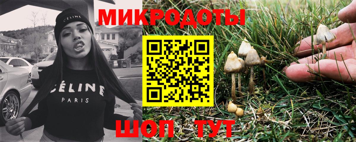 Кропоткин  Галлюциногенные грибы мицелий  Вход с VPN 